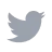 Twitter Icon